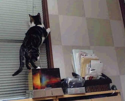 史上最震撼的单场“爆发”：超级巨星的“炸裂”瞬间