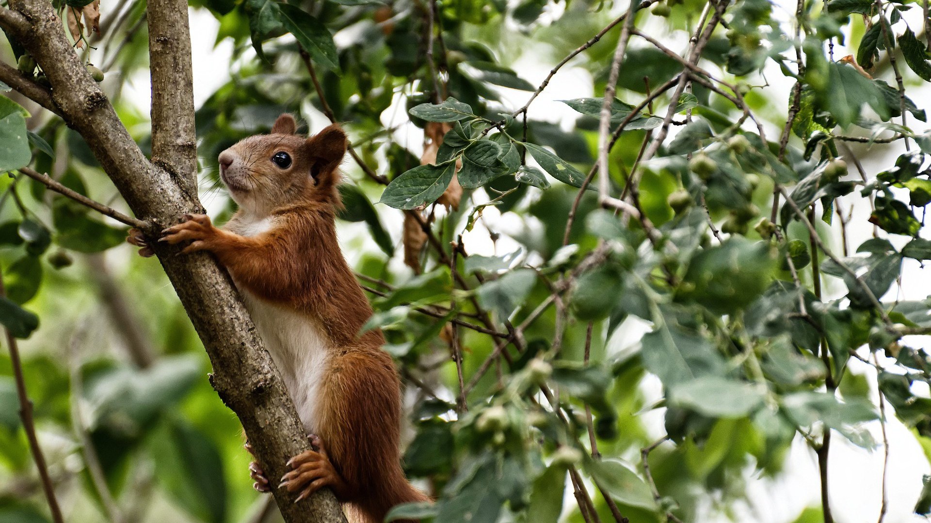 中国足球产业“智能制造”步伐加快，开启行业新时代，中国足球产业的现状分析