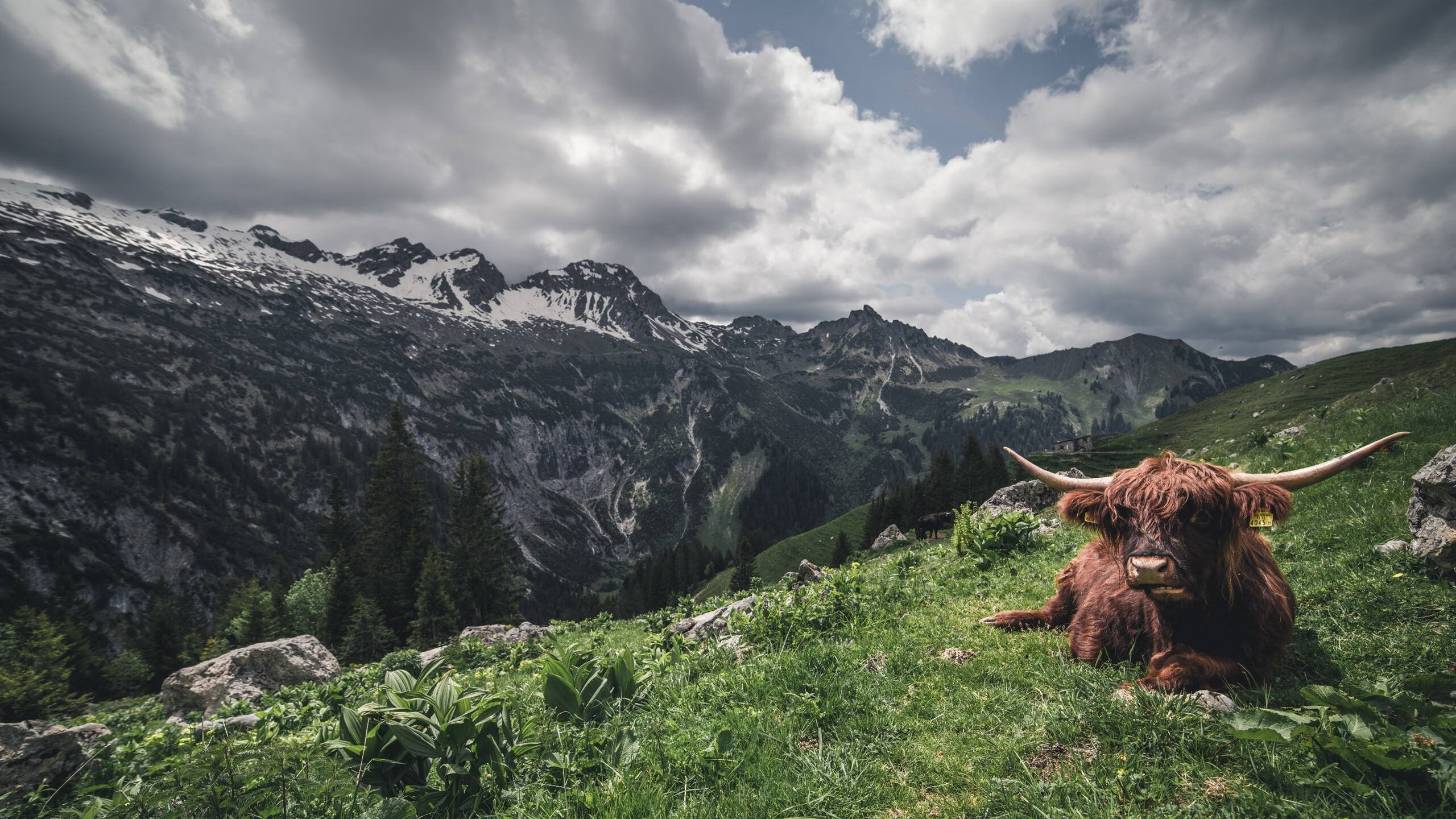 开云全站下载-史上最震撼的单场“爆发”：超级巨星的“炸裂”瞬间