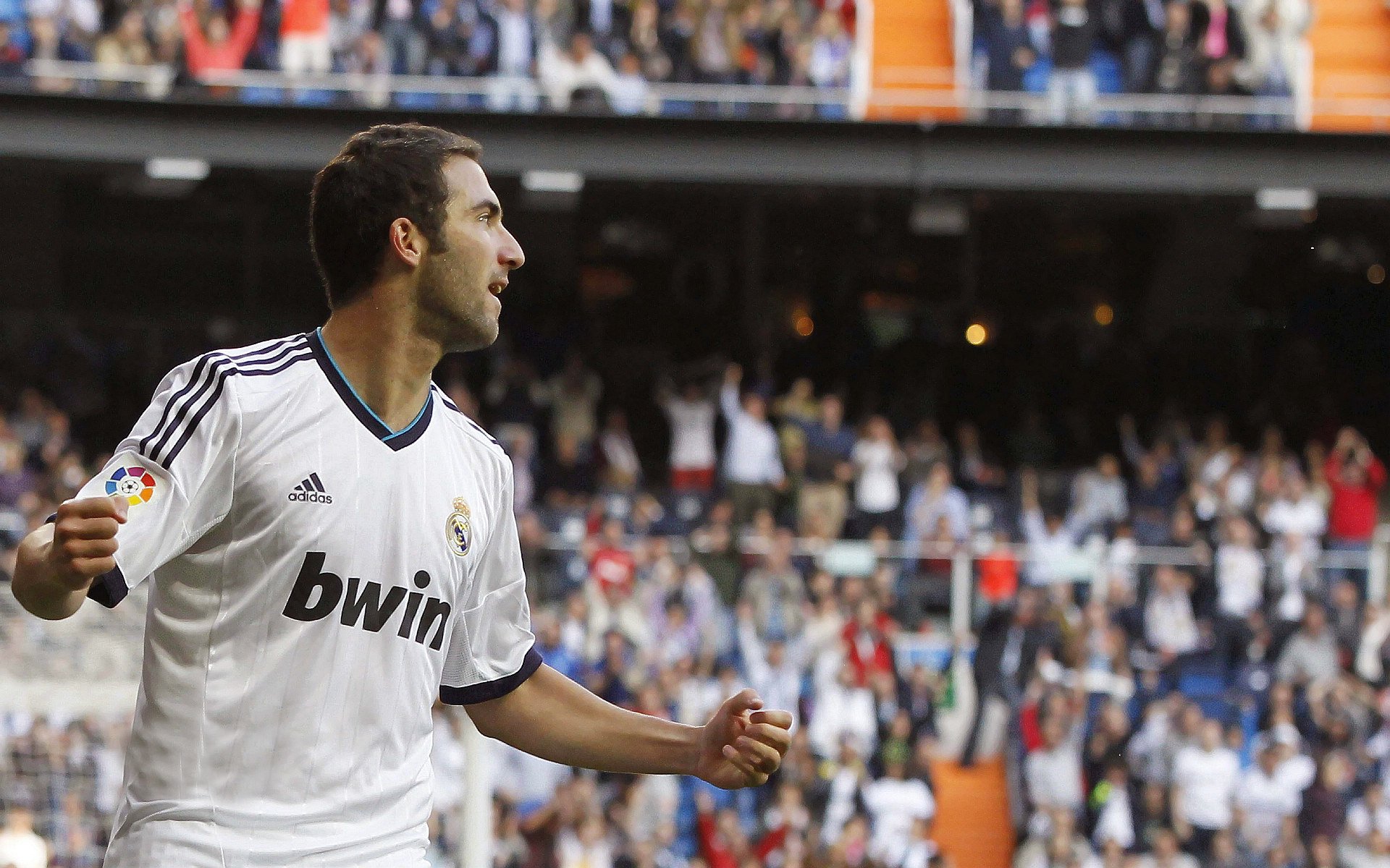 开云首页登录-本土新秀首秀惊艳，媒体封其为明日之星，明日之星创始人