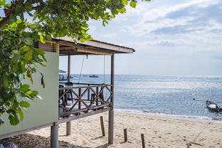 开云·体育官网-绿色场馆覆盖智能环保系统，推动全球体育绿色低碳行动，绿色场馆建设